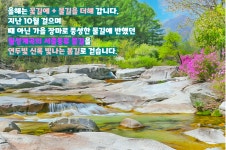 2026.04.11.토 [거창] 꽃폭포 같이 흩날리는 수양벚꽃길🌸남덕유산 월성계곡의 서출동류 물길🌸소담한 덕천서원🌸용원정 - [접수/4.11.토]... 