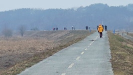 27 짙은 안개 속 아쉬움 남은 맛보기 금강하구둑 가창오리 군무 & 신성리 갈대밭과 하구둑... 27 짙은 안개 속 아쉬움 남은 맛보기 금강하구... 