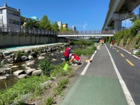 금학천 정화활동(2025.08.10) 이모저모 - 활동결과 - 용인시숲사랑연합회 금학천 정화활동(2025.08.10) 이모저모