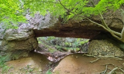 선운산+배맨바위/사자바위+꽃무릇 신청안내(28인승/31인승) - 9/27(토)선운산+배맨바위... 토요당일 -＜블랙야크100＞- 선운산+배맨바위... 