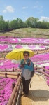 🌱26년4월26일 정기산행 경남 산청 꽃 잔디 축제&동의 보감 - 카페 앨범 - 성남 늘푸른 산악회 🌱26년4월26일 정기산행 경남 산청 꽃 잔디... 