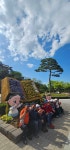 🌱26년4월26일 정기산행 경남 산청 꽃 잔디 축제&동의 보감 - 카페 앨범 - 성남 늘푸른 산악회 🌱26년4월26일 정기산행 경남 산청 꽃 잔디... 
