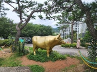 RE:RE:청계 선일목장가족 - 가족사진방 - 은영,은경 RE:RE:청계 선일목장가족