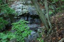 제 487차 쇠점골 물놀이 계곡 트레킹 - 487차 7/26토) 쇠점골 물놀이 정기(트레킹)산행 - 부산토요가자산악회 제 487차 쇠점골 물놀이 계곡... 