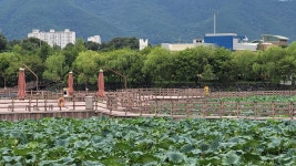 경산시 경산자연마당 탐방 및 남매공원 둘레길 트레킹 - 산행 발자욱 - 바우들 산악회 경산시 경산자연마당 탐방 및 남매공원 둘레길 트레킹