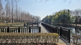 경남 진주 대룡산(140.0m) 산책로 트레킹 및 초전공원 탐방... 경북대ROTC9기 경남 진주 대룡산(140.0m) 산책로 트레킹 및 초전공원 탐방