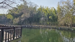 경남 진주 대룡산(140.0m) 산책로 트레킹 및 초전공원 탐방... 경북대ROTC9기 경남 진주 대룡산(140.0m) 산책로 트레킹 및 초전공원 탐방