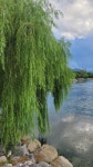경산시 경산자연마당 탐방 및 남매공원 둘레길 트레킹 - 산행 발자욱 - 바우들 산악회 경산시 경산자연마당 탐방 및 남매공원 둘레길 트레킹