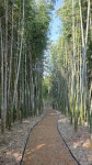 경남 진주 대룡산(140.0m) 산책로 트레킹 및 초전공원 탐방... 경북대ROTC9기 경남 진주 대룡산(140.0m) 산책로 트레킹 및 초전공원 탐방