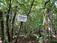 8월 정기산행( 이방산,감투봉,마근담봉 /큰등날봉 딱바실계곡) - 정기산행 안내 및 신청 - 대구화랑산악회 8월 정기산행( 이방산,감투봉,마근담봉... 