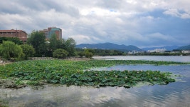경산시 경산자연마당 탐방 및 남매공원 둘레길 트레킹 - 산행 발자욱 - 바우들 산악회 경산시 경산자연마당 탐방 및 남매공원 둘레길 트레킹