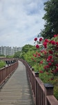 대구 달서구 월광수변공원 탐방 및 도원지 둘레길 트레킹 - 산여울의... 경북대ROTC9기 대구 달서구 월광수변공원 탐방 및 도원지 둘레길 트레킹