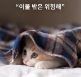 스마트폰 촬영ㅡ성선생님 - 사진공부하기 - 니오타니 사진쟁이 스마트폰 촬영ㅡ성선생님