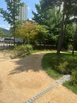 사수동 한강공원 산책로 - 자유게시판 - 사수성당 사수동 한강공원 산책로