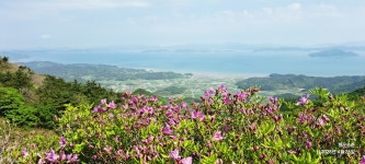 제암 사자 일림산, 보성다원 ^^ - 정기산행 사진 - 여수해솔산악회 제암 사자 일림산, 보성다원 ^^