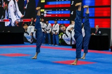 2024 홍콩 세계태권도 품새 선수권 대회 - -대회결과 - 포천시 태권도 협회 2024 홍콩 세계태권도 품새 선수권 대회