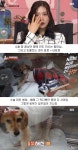 80대 할머님을 울게 만든 동물농장 제작진들.jpg(스압) - 동네마당... 주민들의 이야기 80대 할머님을 울게 만든 동물농장 제작진들.jpg(스압)