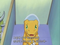 일상생활에서 쓰기좋은 디지몬 짤.jpg - 웃긴자료 ‥‥‥‥‥、 - 도탁스 (DOTAX) 일상생활에서 쓰기좋은 디지몬 짤.jpg