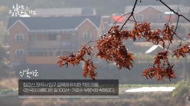 백종원이 서울 데려가고 싶다고 한 순두부가게 - Soul Lounge - 소울드레서 (SoulDresser) 소울드레서 (SoulDresser)