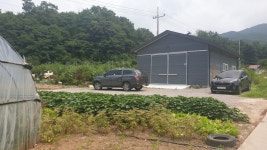 ▶ 동내면 사암1리 마을회관부근 창고 겸 사무실 매매(2019년 건물)... 동내면 사암1리 마을회관부근 창고 겸 사무실 매매(2019년 건물)