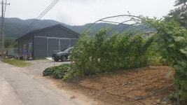 ▶ 동내면 사암1리 마을회관부근 창고 겸 사무실 매매(2019년 건물)... 동내면 사암1리 마을회관부근 창고 겸 사무실 매매(2019년 건물)