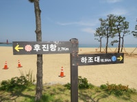 양양 해파랑길 44-43 - 산행사진 - 주산나산악회 양양 해파랑길 44-43