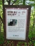 대전-계족산,황톳길(장동산림욕장-계족산성-성재산-임도삼거리-장동산림욕장) - ◎ 산행후기-051)632-8848 - 금강부산산악회 대전-계족산,황톳길... 
