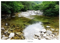 함양-영취산 부전계곡(무룡고개-영취산-선바위고개-최씨묘-부전계곡) - ◎ 산행후기-051)632-8848 - 금강부산산악회 함양-영취산 부전계곡... 