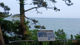 부산-몰운대 둘레길 - ♣--백두대간♡ 7기졸업 - 낙동산악회 부산-몰운대 둘레길
