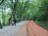 대전-계족산,황톳길(장동산림욕장-계족산성-성재산-임도삼거리-장동산림욕장) - ◎ 산행후기-051)632-8848 - 금강부산산악회 대전-계족산,황톳길... 