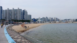 부산-몰운대 둘레길 - ♣--백두대간♡ 7기졸업 - 낙동산악회 부산-몰운대 둘레길
