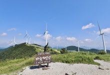 ＜191차＞2026년 8월 1일 (토) 첫째주 태백 바람의 언덕, 매봉산 - ◈── 정기산행 신청 - 청주 늘처음처럼 산행 ＜191차＞2026년 8월 1일... 