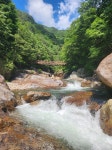 Naver 搜索结果照片 2