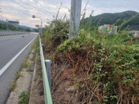 경북 / 국도28호선 의성 봉양 화전지구 2개소 도로시설물 방초매트 시공 1.(방초,식생매트) - 방초매트 - 방초,식생매트,식생토낭 시공 경북... 