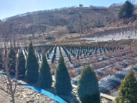 진안고원길 5구간(고개넘어 마령길) - 전북 진안 - 산행 사진방 - 사니조아의 일상 진안고원길 5구간(고개넘어 마령길) - 전북 진안