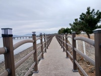 서해랑길 83코스(복운리 나눔숲~인주공단교차로) 트레킹 - 충남 당진, 아산 - 산행 사진방 - 사니조아의 일상 서해랑길 83코스(복운리 나눔숲... 