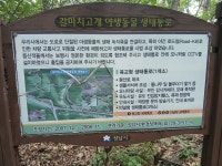 성남누비길 2~3 구간 트레킹 - 경기 성남 - 산행 사진방 - 사니조아의 일상 성남누비길 2~3 구간 트레킹 - 경기 성남