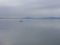 서해랑길 83코스(복운리 나눔숲~인주공단교차로) 트레킹 - 충남 당진, 아산 - 산행 사진방 - 사니조아의 일상 서해랑길 83코스(복운리 나눔숲... 