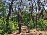 진안고원길 9구간(운일암반일암 숲길) - 전북 진안 - 산행 사진방 - 사니조아의 일상 진안고원길 9구간(운일암반일암 숲길) - 전북 진안
