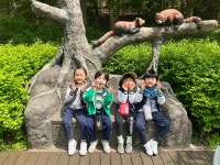 4월 24일 : 과천 서울 동물원 견학!🐯 - 유아3학년 슬기반/은총반 - 성마르코유치원 4월 24일 : 과천 서울 동물원 견학!🐯