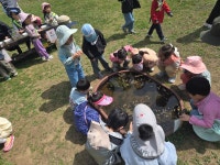 4/16 (목) 맹산생태학습원 다녀왔습니다! #2 - 유아2학년 사랑반/기쁨1반 - 성마르코유치원 4/16 (목) 맹산생태학습원 다녀왔습니다! #2