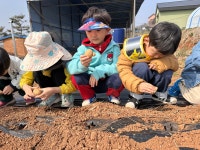 2026년도 3월 26일 : 🥔🥔감자를 심으러 인애농원으로🥔🥔 - 이... 2026년도 3월 26일 : 🥔🥔감자를 심으러 인애농원으로🥔🥔