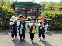 과천서울대공원 내 서울동물원 봄소풍 사진 올려드립니 - 유아1학년 희망반/기쁨반 - 성마르코유치원 과천서울대공원 내 서울동물원 봄소풍 사진... 