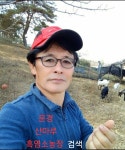 #염소분양 & #염소생고기판매 - 일반 게시판 - 문경산마루흑염소농장 #염소분양 & #염소생고기판매