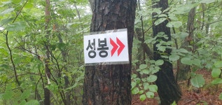 진주자연 산악회 성봉 - 신동봉 - 12폭포 우중산행을 하였습니다 - 타 산악회 앨범 - 산이좋와요 진주자연 산악회 성봉 - 신동봉 - 12폭포... 