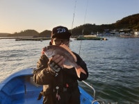 갑오징어 돌문어 참돔 조황 ^^ - 선상낚시조황(선외기) - 통영 곤리도 아진호 낚시 & 민박 곤리도 아진호 마릿수 힛트~!! 갑오징어 돌문어 참돔 조황... 