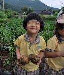 🥔감자캐기 체험을 다녀왔어요~🥔 - 행복한 성모 친구들*^^* - 성모유치원_남산동 🥔감자캐기 체험을 다녀왔어요~🥔