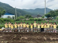 🥔감자캐기 체험을 다녀왔어요~🥔 - 행복한 성모 친구들*^^* - 성모유치원_남산동 🥔감자캐기 체험을 다녀왔어요~🥔