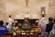 추수 감사미사 (온 누리의 임금이신 우리 주 예수 그리스도왕 대축일) - 성당 앨범 - 산곡동(성가정) 성당 추수 감사미사 (온 누리의 임금이신 우리... 
