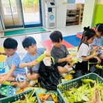 🧡햇살반 옥수수관찰🧡 - 햇살반 - 비둘기유치원 🧡햇살반 옥수수관찰🧡